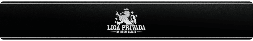 Liga Privada logo