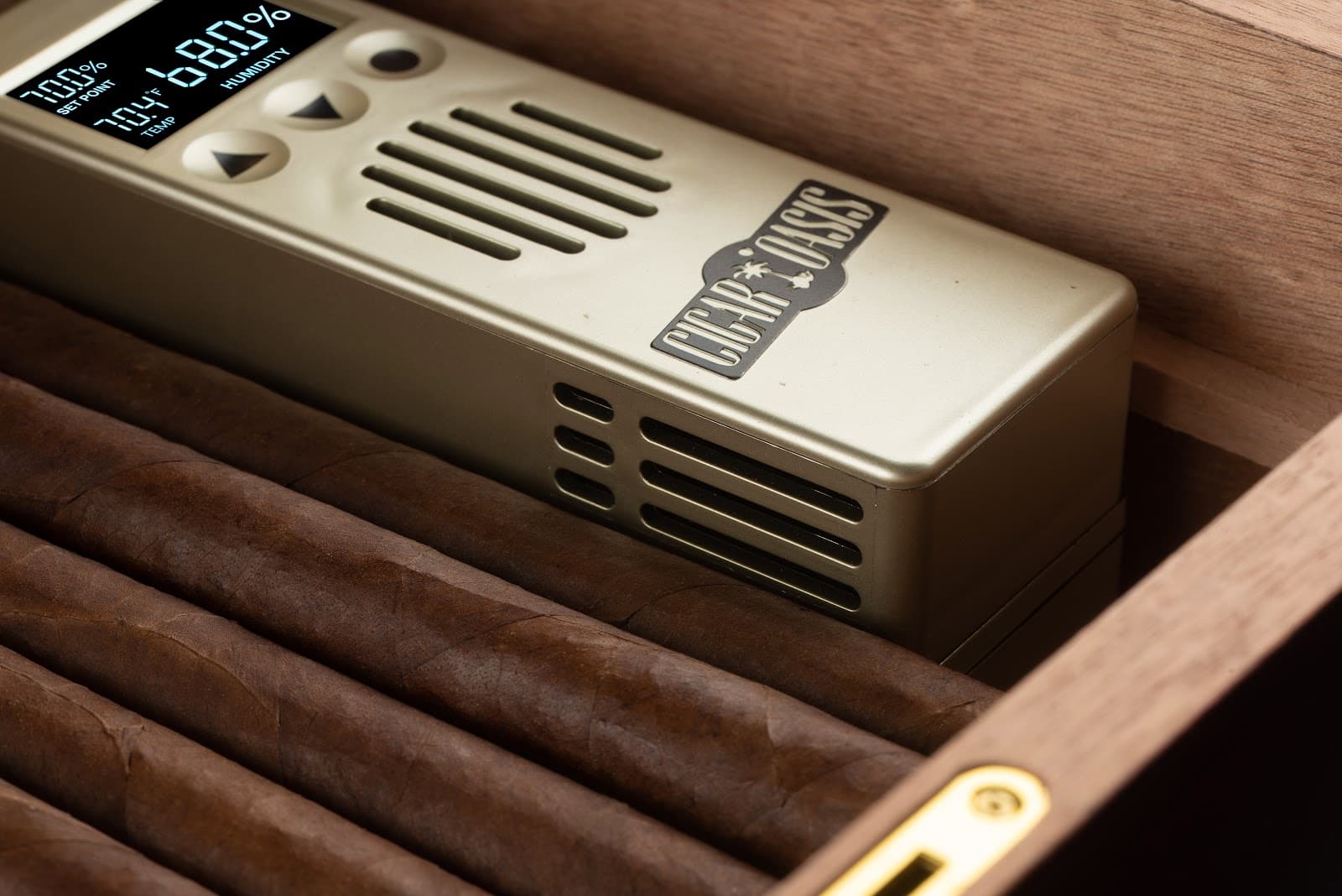 Cigar Oasis