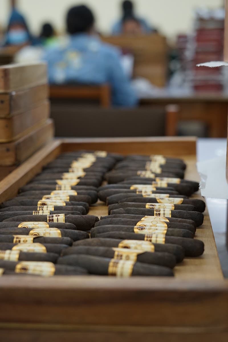 Oliva Cigars