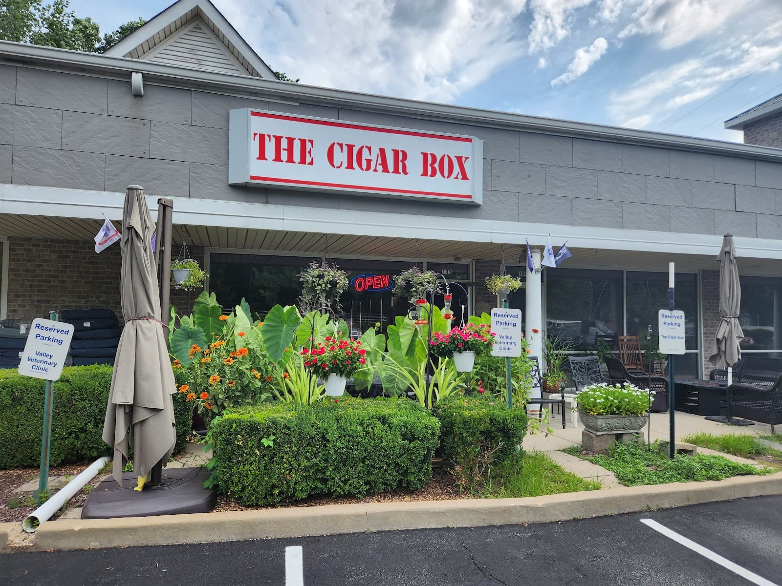 The Cigar Box